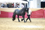 SBM_17502
