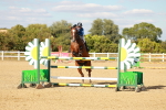 SBM_007919
