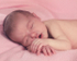 Willow 2