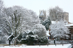 JANUARY 2010-3
