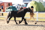 SBM_11719