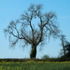4th April Ash