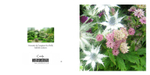022 Astrantia and Eryngium