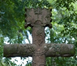 San José, atrial cross, back crossing