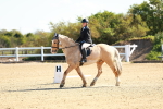 SBM_000080