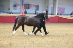 SBM_16690