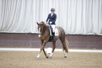 SBM_006525