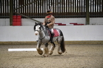 WJ5_9508
