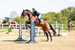 SBM_001291