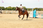 SBM_003278