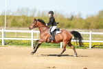 SBM_000561