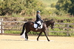 SBM_009676