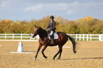 SBM_002713