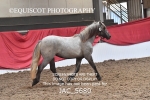 JAC_5680