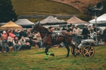 DSCF7145