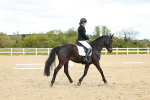 SBM_000654