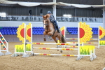 SBM_001372
