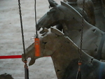 CHINA__0909