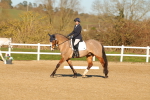 SBM_004679
