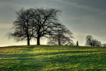Hampstead Heath