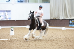 SBM_000781