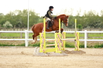SBM_009573