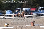 BPP_8732