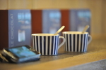 Hôtel Novotel Thalassa Dinard CUPS