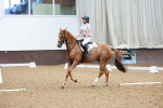SBM_009272