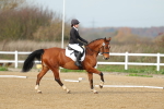SBM_003396
