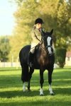 SBM_55561