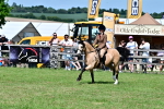 SBM_07975
