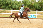 SBM_000644