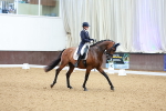 SBM_005311