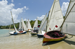 Bequia Easter Regatta_Heineken Challenge - Local Fishing Boatsgrw_8835