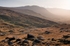 Healy Pass2
