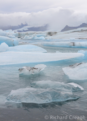 Jokulsárlón