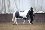 SBM_5243