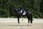480-FLOW_7-Mollie_Summerland-DR portfolio