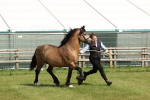 SBM_02279