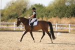 SBM_015787