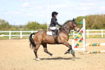 SBM_001337