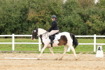 SBM_001355