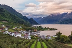 Lofthus Town View