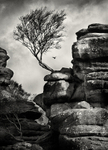 Brimham Rocks