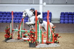 SBM_003353