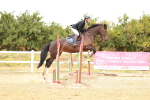 SBM_005351