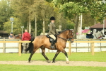 SBM_68197