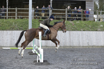 BVRC 050320 0169