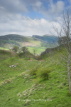 Hope Valley